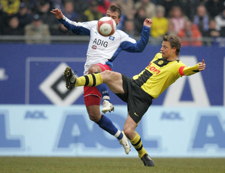 中绽放光彩 中绽放光彩